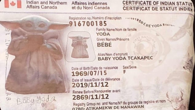 Une fausse carte de statut Indien pour le personnage de Grogu, de l'univers de Star Wars.