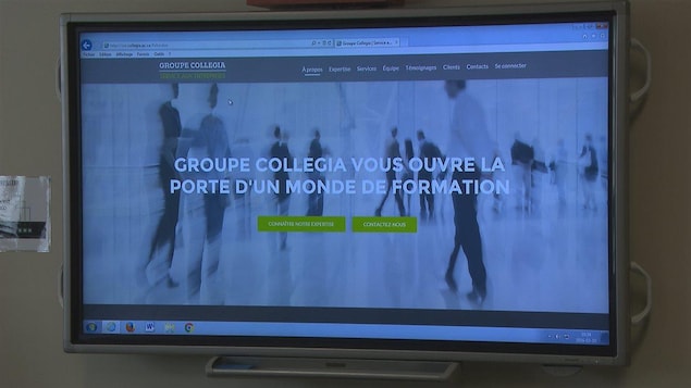 Groupe Collegia est un consortium des services de formations continues qui regroupe le Cégep de la Gaspésie et des Îles, de Rivière-du-Loup et de Matane. Groupe Collegia est un consortium des services de formations continues qui regroupe le Cégep de la Gaspésie et des Îles, de Rivière-du-Loup et de Matane.