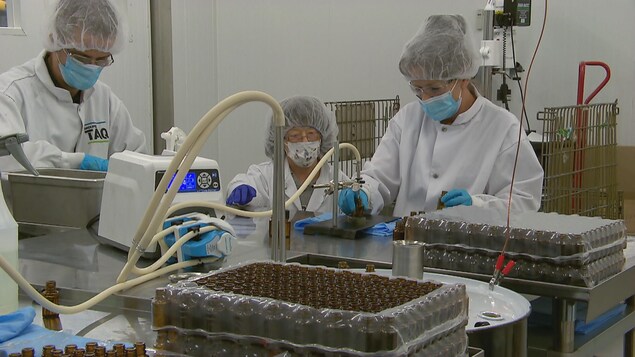 Le Groupe TAQ est une entreprise adaptée.