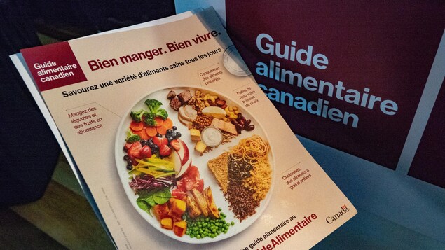 Photo d'une version papier du Guide alimentaire canadien dévoilé en janvier 2019.