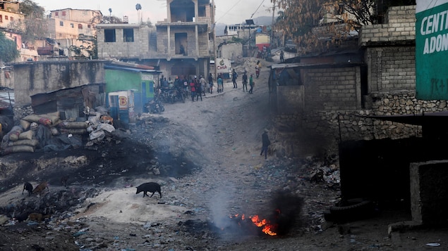 Une vingtaine de personnes se tiennent debout et des animaux errent dans une rue d'une banlieue d'Haïti, après une attaque violente.