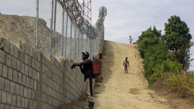La République dominicaine lance la construction d’un mur-frontière avec Haïti