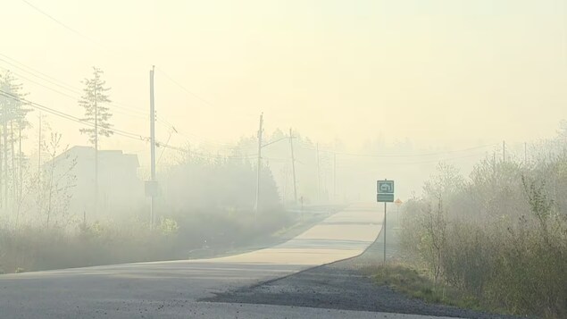 De la fumée qui recouvre une route rurale.
