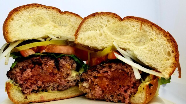 Hamburger à la viande de kangourou. Hamburger à la viande de kangourou.