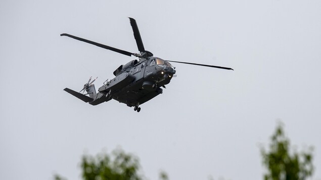 Des fissures détectées sur 21 des 23 hélicoptères Cyclone des Forces armées