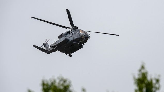 Des fissures détectées sur 21 des 23 hélicoptères Cyclone des Forces armées