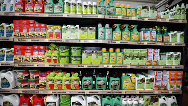 Des herbicides en inventaire dans un commerce. Des herbicides en inventaire dans un commerce.