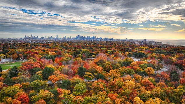Une circonscription au nom autochtone au cœur de Toronto