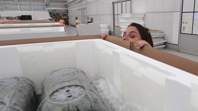 La jeune femme jette un coup d'oeil au dessus de la boite qui fait presque sa taille La jeune femme jette un coup d'oeil au dessus de la boite qui fait presque sa taille