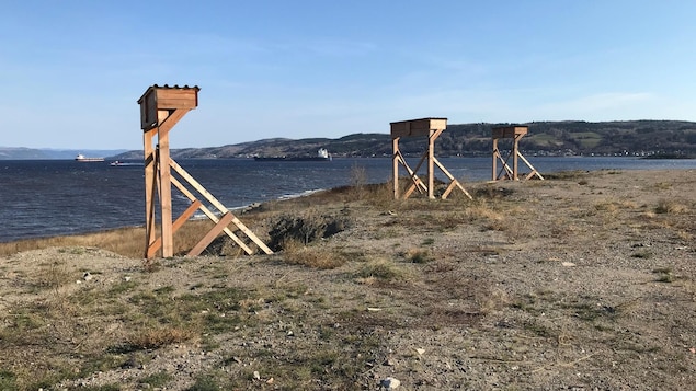 Des nichoirs en bois sur une plage.