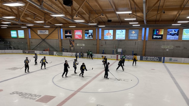 Une équipe de hockey sur une patinoire.