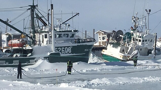 Les deux patinoires, dans le port de Caraquet, doivent être arrosées régulièrement Les deux patinoires, dans le port de Caraquet, doivent être arrosées régulièrement