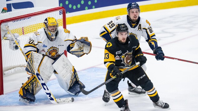 Cataractes – Bulldogs : les vétérans veulent repousser la fin de leur carrière