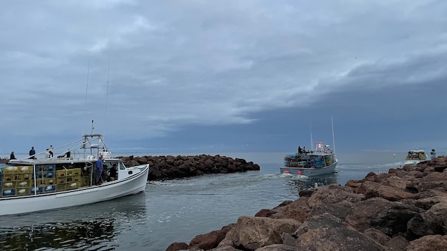 Trois bateaux de pêche chargés de casiers à homard sortent du havre.