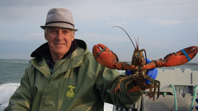 On voit un homme qui tient un homard en gros plan, sur un bateau de pêche. On voit un homme qui tient un homard en gros plan, sur un bateau de pêche.