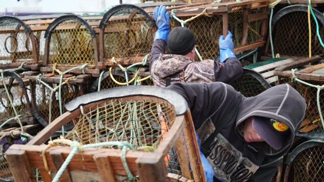 Des pêcheurs qui rangent des casiers à homard Des pêcheurs qui rangent des casiers à homard
