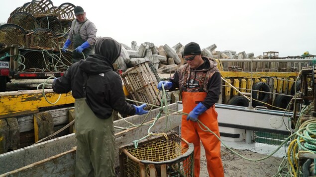 Des pêcheurs de homard Des pêcheurs de homard