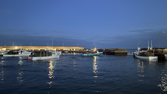 Une nouvelle saison de pêche au homard commence dans les Maritimes