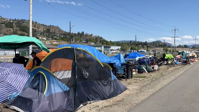 Homeless camps along the Okanagan Rail Trail in the north end of downtown Kelowna. The city is reviewing its strategy around homelessness. (Brady Strachan/CBC)