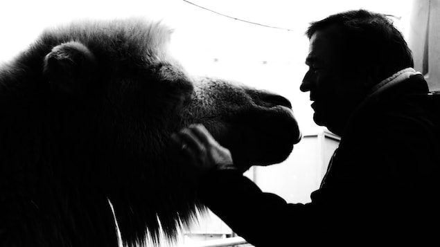 Un homme et un chameau face à face.