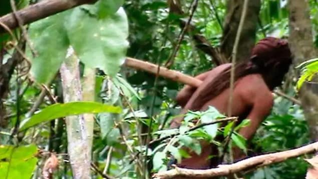 La Fondation nationale de l'Indien (Funai), au Brésil, a publié une photo d'un homme soupçonné d'avoir vécu seul, sans contact, dans la forêt amazonienne au cours des 22 dernières années.