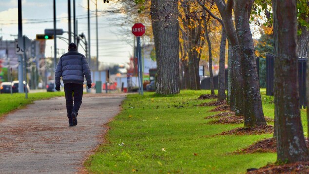 567 cas supplémentaires de COVID-19 et un nouveau décès au Québec
