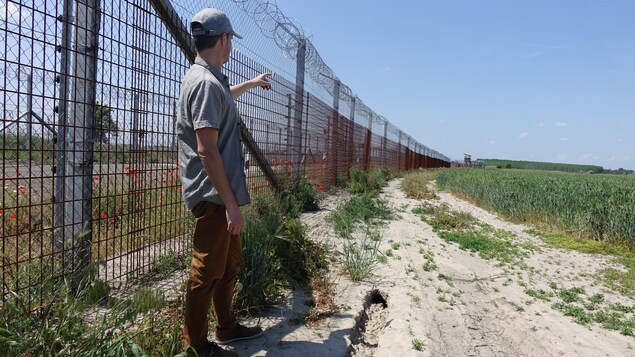 Un homme devant une clôture surmontée de barbelés, qui s'étire à perte de vue