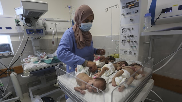 Twenty-nine premature babies who were still in Gaza's Al-Shifa Hospital after its evacuation arrived in Egypt on Monday, according to Egyptian state media Al-Qahera News.
