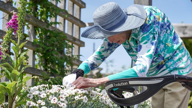 L’hortithérapie, ou quand la nature soigne le corps et l’esprit