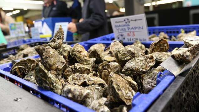 Des huîtres au Marché des Capucins à Bordeaux Des huîtres au Marché des Capucins à Bordeaux