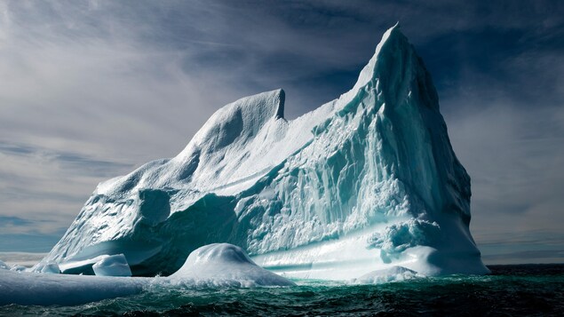 Icebergs, droit devant ! Les géants des océans bientôt visibles de Terre-Neuve