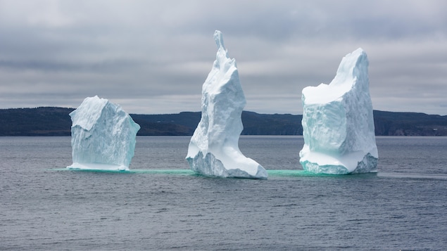 Un iceberg dans la région de Bonavista en 2018.