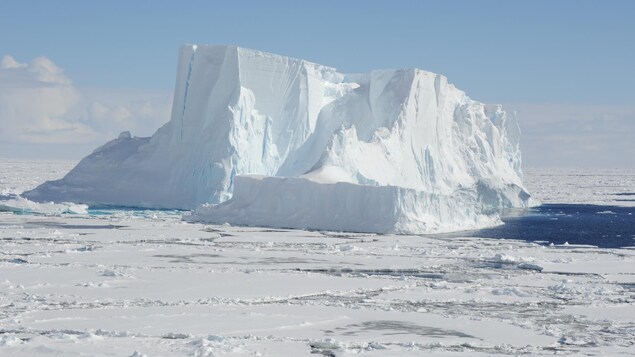 le plus gros iceberg existant se detache de l antarctique radio canada ca