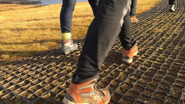 A close up of feet walking along a metal pathway. 