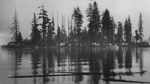 Une photographie en noir et blanc de la petite île Deadman avec des sapins et de petites maisons.