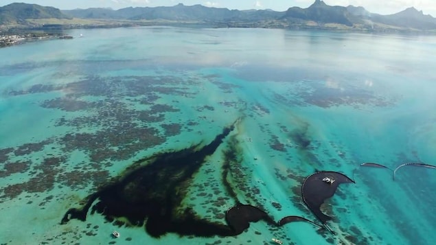 Vue aérienne de la marée noire au large des côtes de l'île Maurice .