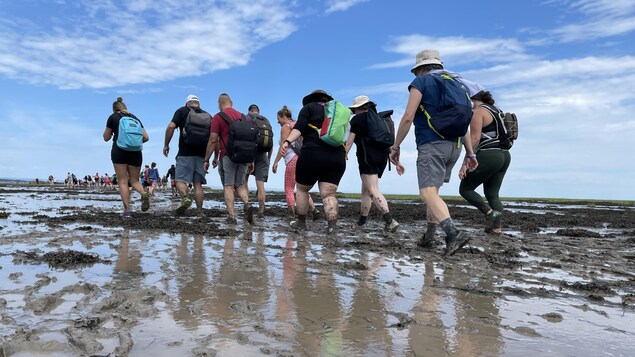 Rejoindre l’Île Verte à pied dans la bouette et dans la bonne humeur