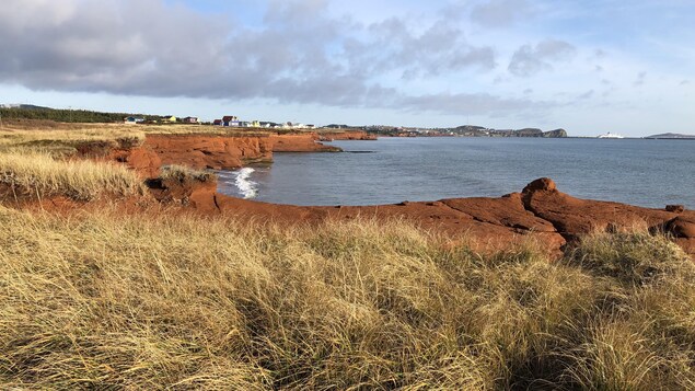 Paysage de bord de mer.