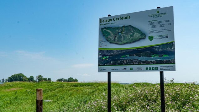 Un panneau affichant « île aux Cerfeuils ». Un panneau affichant « île aux Cerfeuils ».