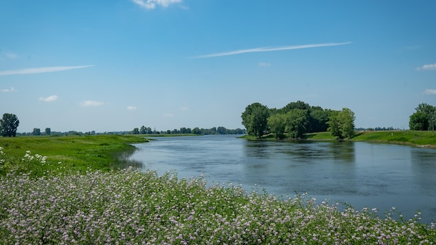 Une île au coeur du fleuve Saint-Laurent Une île au coeur du fleuve Saint-Laurent