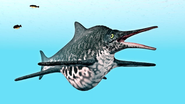 Une représentation d'Ichtyosaur Shonisaurus Une représentation d'Ichtyosaur Shonisaurus