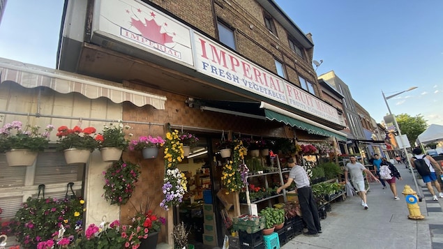 La façade de l'Imperial Fruit Market, devant laquelle se dressent des étagères regorgeant de plantes en pot à vendre.