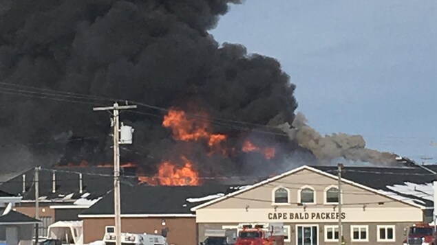 Bâtiment d'une usine en feu. Les flammes et un important panache noir se dégagent du toit.