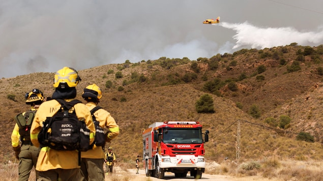 Un feu de forêt fait 12 morts près d’Almeria, dans le sud de l’Espagne
