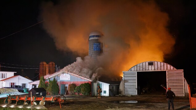 La ferme Pont-Rouge Enr. a été détruite par les flammes la nuit dernière.