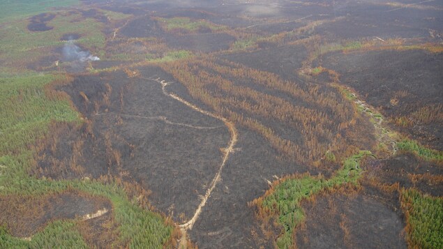 Vue aérienne sur des taches de forêt brûlée.On voit des parcelles de forêt qui ne sont pas touchée par l'incendie, mais la majeure partie de l'image est occupée par une forêt incendiée. Vue aérienne sur des taches de forêt brûlée.On voit des parcelles de forêt qui ne sont pas touchée par l'incendie, mais la majeure partie de l'image est occupée par une forêt incendiée.