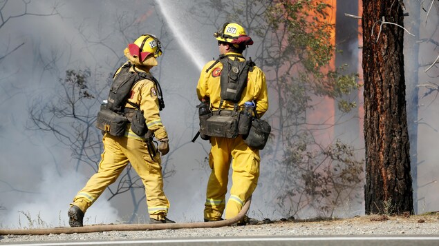 Des pompiers tentent d’éteindre les flammes de l’incendie de forêt Carr, à proximité de la route 299 à Californie, le 30 juillet 2018.