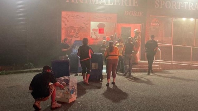 Plusieurs animaux périssent dans l’incendie d’un bâtiment commercial à La Baie