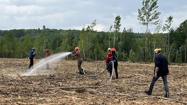 Une femme arrose le sol, entourée d'apprentis pompiers, près d'une forêt.