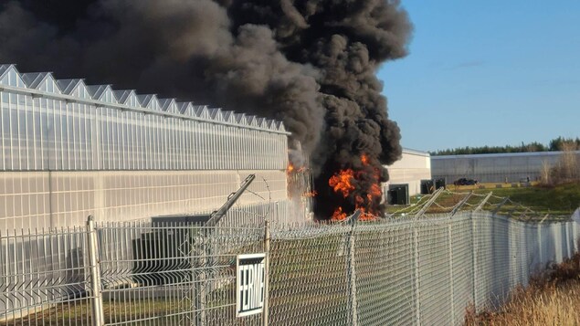 L’incendie aux Serres Toundra de Saint-Félicien causé par un transformateur